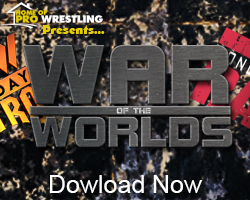 greydog wmma 5 greydog wmma 5